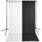 Savage Economy Background Support Stand with White and Black Backdrops