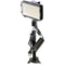 Bescor XT160 Bi-Color LED On-Camera 1-Light Kit with Stand