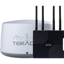 Teradek Link Pro Wireless Access Point Router Radome - Japan (Gold-Mount)