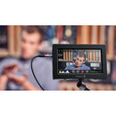 Blackmagic Video Assist