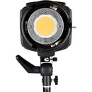 Godox SL-200 LED Video Light (Daylight-Balanced)(Used excellent condition)