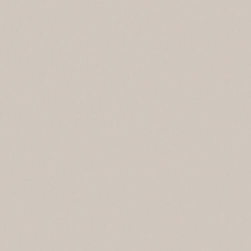 Savage Widetone Seamless Background Paper (