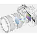 Sony Alpha a7R III Mirrorless Digital Camera (Body Only)