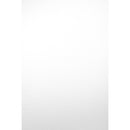 Savage Port-a-Stand and Vinyl Background Kit (White, Matte)