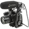 Azden SGM-250MX Mini-XLR Short Shotgun Microphone for Blackmagic Pocket Cinema (Shockmount, Phantom Only)