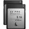 Angelbird 2TB Match Pack for the Nikon D6 (2 x 1TB)