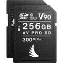 Angelbird 512GB Match Pack for the Canon EOS R6 (2 x 256GB)