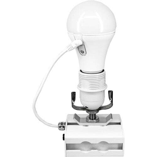 Astera NYX 10W LED Bulb Engine with RGBA + Mint