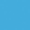 Savage Widetone Seamless Background Paper (