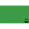 Savage Widetone Seamless Background Paper (#46 Tech Green, 86" x 36')