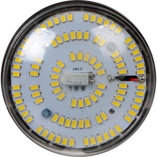 Savage LED Studio Lamp (50W, 120V)