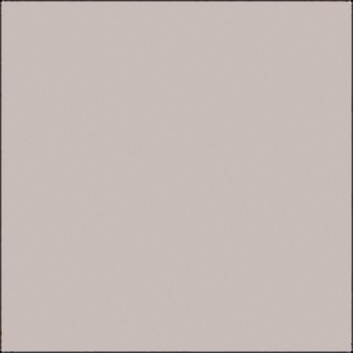 Savage Widetone Seamless Background Paper (