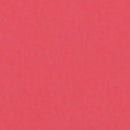 Savage Widetone Seamless Background Paper (