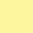 Savage Widetone Seamless Background Paper (