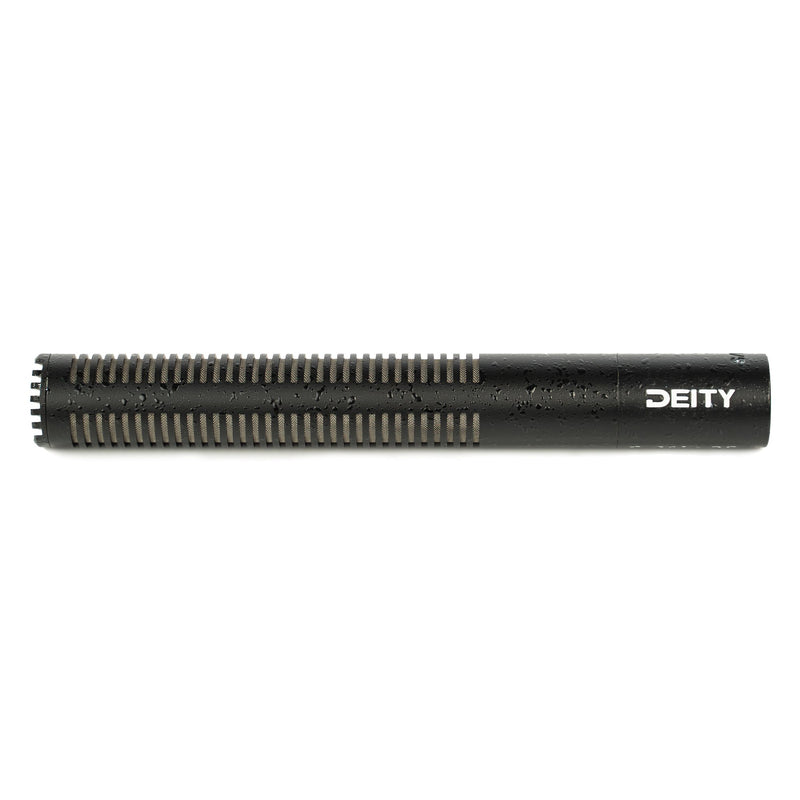 Diety S-Mic 2S