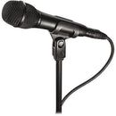 Audio-Technica AT2010 Cardioid Condenser Handheld Microphone