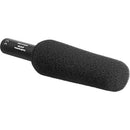 Audio-Technica AT875R Line + Gradient Shotgun Condenser Microphone