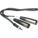 Azden MX-2 - Y Cable for 200UPR & 320UPR with 1/8" (3.5mm) Mini to Dual XLR Connection