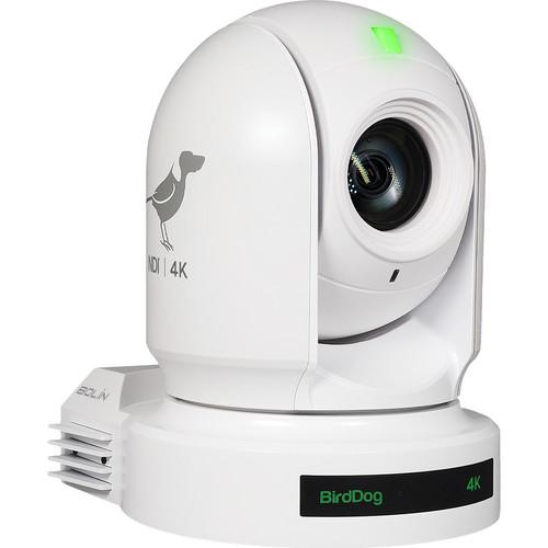 BirdDog P400 4K 10-Bit Full NDI PTZ Camera with Sony Sensor (White)