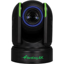 BirdDog P4K 4K Full NDI PTZ Camera with 1" Sony Sensor (Black)