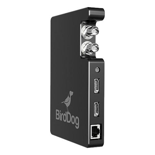 BirdDog Studio SDI/HDMI to Network Device Interface Converter (Educational)