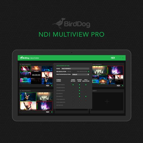 BirdDog Multiview Pro