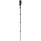 Induro CLM205 Classic CF Monopod, 2 Series, 5 Sections
