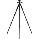 Induro CLT303PHQ3 Classic CF Tripod Kit, 3 Series, 3 Sections, PHQ3