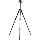 Induro CLT303PHQ3 Classic CF Tripod Kit, 3 Series, 3 Sections, PHQ3