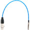 Kondor Blue Mini-XLR Male to XLR Female Cable 2-Pack for BMPCC 6K/4K (Blue, 16")