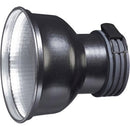 Hive Lighting Phtoto Zoom Reflector for BUMBLE BEE 25-C, BEE 50-C, WASP 100-C, HORNET 200-C