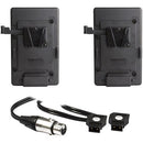 Hive Lighting HORNET 200-C Dual V-Mount Battery Plate Kit w/ Y Cable