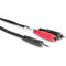 Hosa Technology Stereo Mini Male to 2 RCA Male Y-Cable (6')