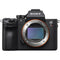 Sony Alpha a7R III Mirrorless Digital Camera (Body Only)