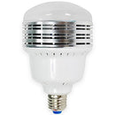 Savage LED Studio Lamp (30W, 120V)