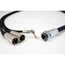 Azden MX-10 Send/Return Breakout Cable for FMX-42a (3')