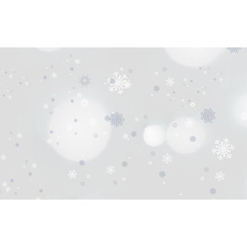 Savage Printed Background Paper (53" x 18', Winter Frost)