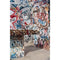 Savage Graffiti Covered Alley Printed Vinyl Backdrop (5x7')