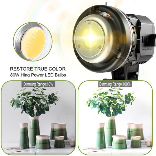GVM led80W High power led lights kit with softbox photography lighting kit P80S2
