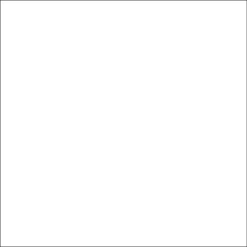 Savage Accent Solid Muslin Background (10 x 12', White)