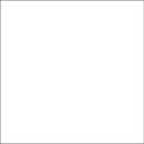 Savage Accent Solid Muslin Background (10 x 24', White)