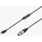 Saramonic UTC-XLR Female XLR to USB Type-C Microphone Interface Cable (19.7')