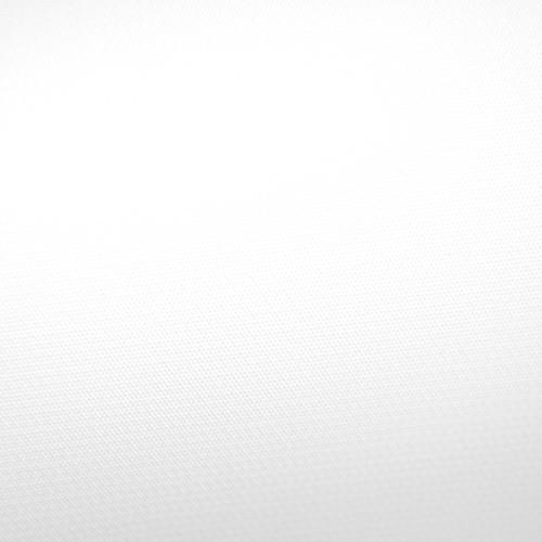 Savage Infinity Vinyl Background (10 x 20', White)
