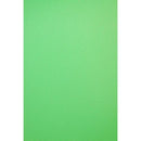 Savage 5 x 12' Infinity Vinyl Background (Chroma Green)