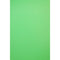 Savage 5 x 12' Infinity Vinyl Background (Chroma Green)