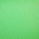 Savage Infinity Vinyl Background - 8 x 10' (Chroma Green)