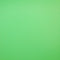 Savage Infinity Vinyl Background - 8 x 10' (Chroma Green)