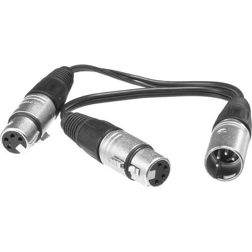Bescor 4-Pin XLR Male to 2 4-Pin XLR Female Y-Cable - 6"