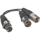Bescor 4-Pin XLR Female to 2 x 4-Pin XLR Male 12V Power Y-Cable (6")