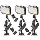 Bescor XT160 Bi-Color LED On-Camera 3-Light Kit with Stands and Batteries